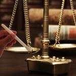 5-Pack Lab Cleaning Brushes with Wooden Handles