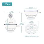 Stonylab 150mm Vacuum Desiccator with Gauge