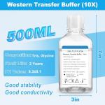 Western Blot Transfer Buffer, 10× Concentration, 500mL