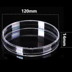 10-Piece Clear Plastic Petri Dish Set