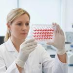 48-Well Plastic Cell Culture Plates for Labs