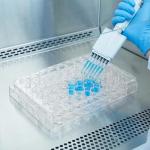 48-Well Plastic Cell Culture Plates for Labs