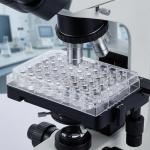 48-Well Plastic Cell Culture Plates for Labs