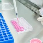 48-Well Plastic Cell Culture Plates for Labs