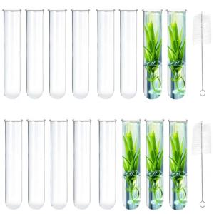 15 Glass Tubes for Plant Propagation and Decor