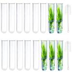 15 Glass Tubes for Plant Propagation and Decor