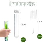 15 Glass Tubes for Plant Propagation and Decor