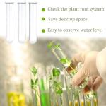 15 Glass Tubes for Plant Propagation and Decor