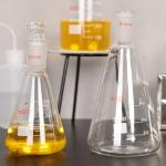 XCD Heavy Wall Borosilicate Erlenmeyer Flask - 250 ml