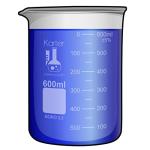 600ml Borosilicate Glass Low Form Beaker