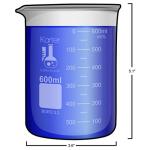 600ml Borosilicate Glass Low Form Beaker