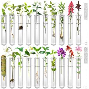 Clear Test Tubes for Plant Propagation and Decor