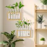 Clear Test Tubes for Plant Propagation and Decor