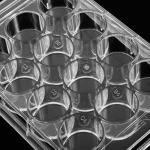 Veemoon 12-Hole Tissue Culture Plates for Labs