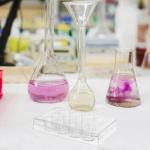 Veemoon 12-Hole Tissue Culture Plates for Labs