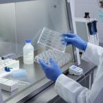 24 Well Tissue Culture Plate and Tube Rack