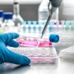 24 Well Tissue Culture Plate and Tube Rack