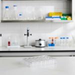 24 Well Tissue Culture Plate and Tube Rack