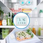 Wireless Fridge Thermometer with Freezer Alarm