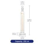 250 ml Graduated Cylinder with Stopper