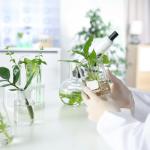 6 Pack 100ml Borosilicate Glass Lab Beakers