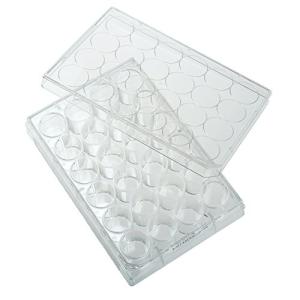Celltreat 24 Well Tissue Culture Plates, Sterile