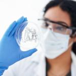 Patikil 60mm Plastic Petri Dishes with Lids