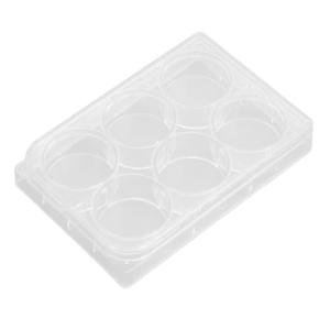 6-Well Flat Bottom Culture Plates with Lid (Pack of 10)