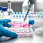 24-Well Cell Culture Plate with Lids