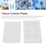 6-Well Flat Bottom Culture Plates with Lid (Pack of 10)