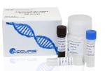 Accuris High Sensitivity dsDNA Quantification Kit