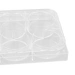 6-Well Flat Bottom Culture Plates with Lid (Pack of 10)