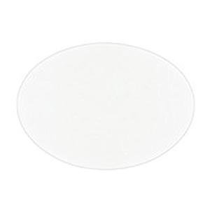 Nylon Charged Membrane Disks, 0.45 Micron, 50 Pack