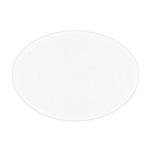 Nylon Charged Membrane Disks, 0.45 Micron, 50 Pack