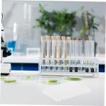 Mobestech 96 Well Flat Bottom Cell Culture Plate