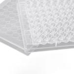 96-Well Tissue Culture Plates - 10-Pack