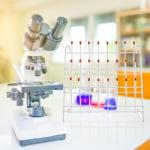 24-Position Laboratory Beaker Drying Rack and Organizer