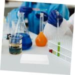 Mobestech 96 Well Flat Bottom Cell Culture Plate