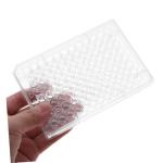 2-Pack Disposable Lab Tissue Culture Plates with Lids