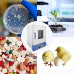 TechTONGDA 40L Electric Lab Incubator, Digital Temp