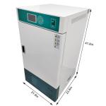 80L Digital Lab Incubator for Temperature Control