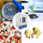 TEchtongda 40L Digital Lab Incubator with Stainless Steel Chamber