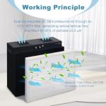 H13 HEPA Laminar Flow Hood for Cleanrooms