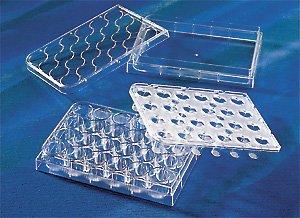 Corning Costar HTS 24 Well Transwell with Membrane