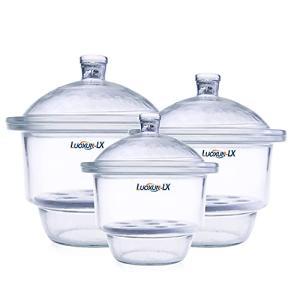 Luoxun 210mm Glass Desiccator Jar with Porcelain Plate