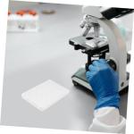 Mobestech Disposable Plastic Cell Culture Plates & Lids