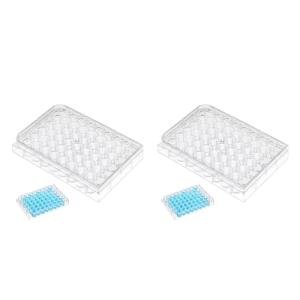48 Well Cell Culture Plate Set with Stacking Lids
