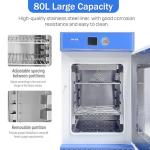 80L Constant Temperature Lab Incubator, Precise Control