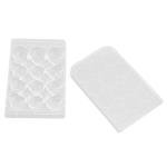 Transparent Polystyrene Tissue Culture Plates, 10pcs