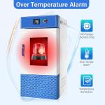 80L Constant Temperature Lab Incubator, Precise Control